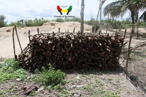 Mangrove harvested at Anlo Beach