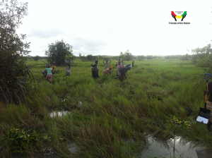 Mangrove restoration and enrichment exercise with FoN